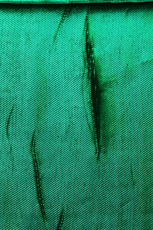 Rayon Lamé in Emerald0