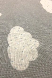 Cotton Broadcloth Print 0