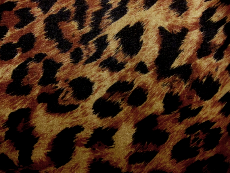 Silk Chiffon in Leopard Print0