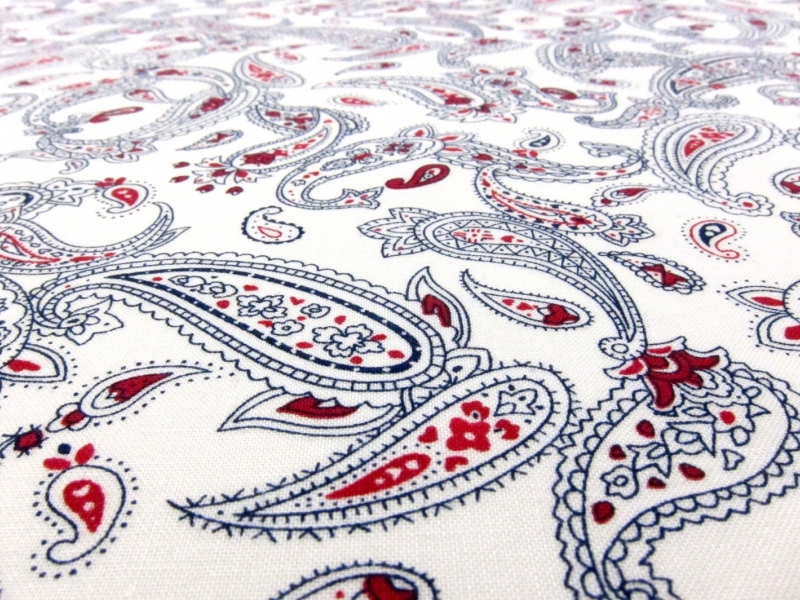 Cotton Broadcloth Print2