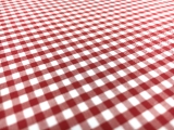 1/8" Cotton Gingham in Red2