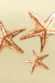 Valentino Silk Blend Zibelline Starfish Panel0