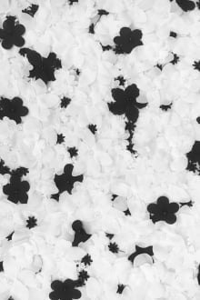 Black and White Flowers Appliquéd on Tulle 0