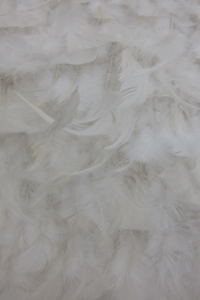Ostrich Feather Trim: Feather Trimmings By Type from Italy, SKU 00062919 at  $26 — Buy Luxury Fabrics Online