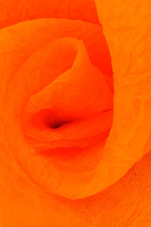 Crushed Silk Organza in Neon Orange0