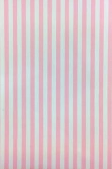 Pima Cotton Shirting Stripe in Pink0