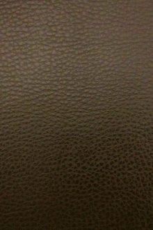 Caravelle Faux Leather in Brown0