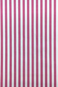 Pima Cotton Shirting Stripe in Fuchsia0