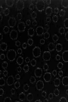 Silk Lurex Panne Velvet with Circles in Black0