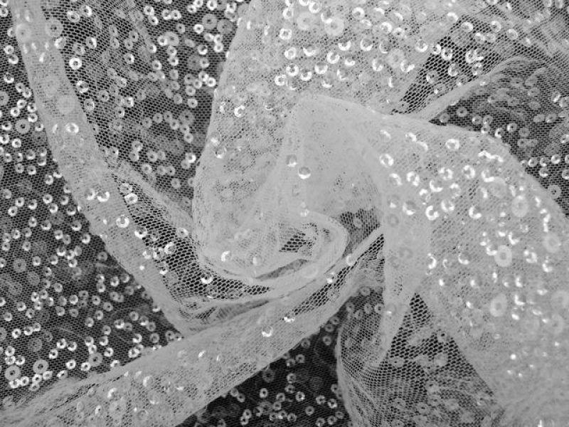 Transparent Sequins on White Tulle 1
