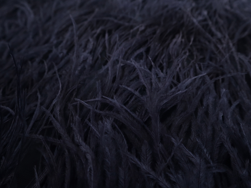 Ostrich Feather Trimmed Illusion in Navy | B&J Fabrics