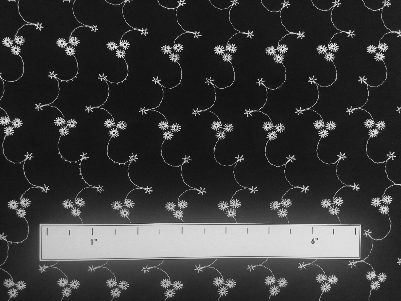 Cotton Eyelet with Embroidered Flowers in Black & White1