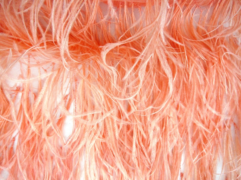 Ostrich Feather Trimmed Illusion | B&J Fabrics