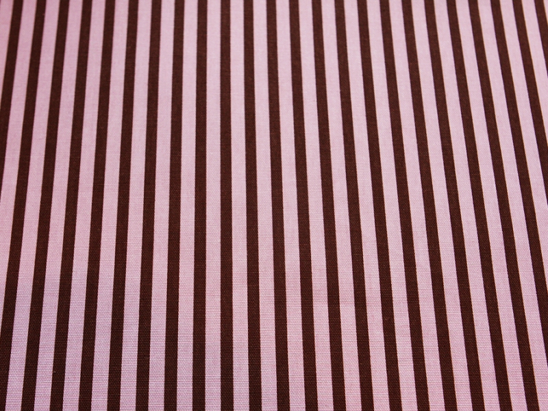 Cotton Canvas 1/4" Stripe In Brown And Pink0