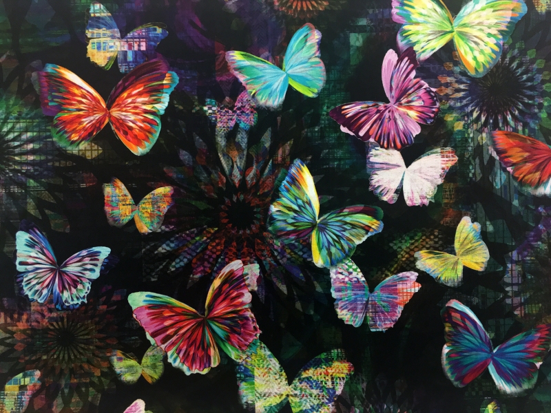Cotton Butterflies Digital Print0