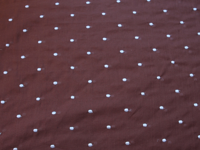 Cotton Embroidered Dots in Blue over Brown0