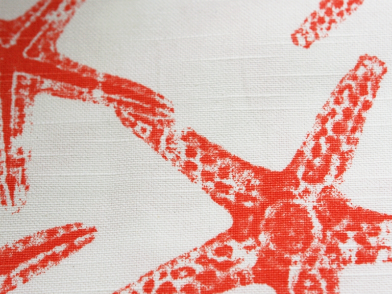 Cotton Canvas Starfish Print2
