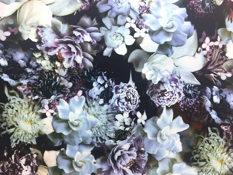 Cotton Floral Digital Print0