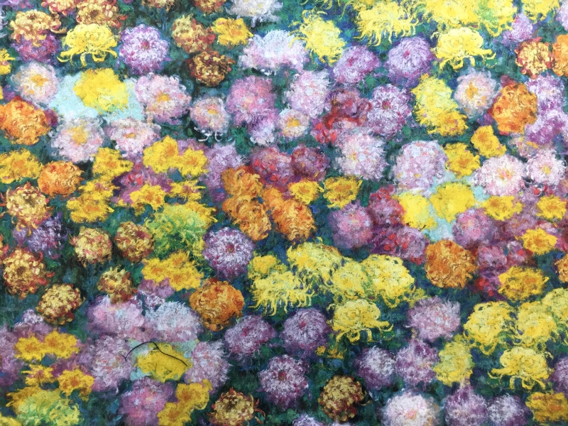 Monets Garden Cotton Broadcloth Digital Print0