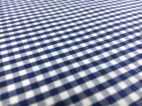 1/8" Cotton Gingham in Royal Blue2