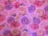 Warp Printed Iridescent Floral Taffeta0